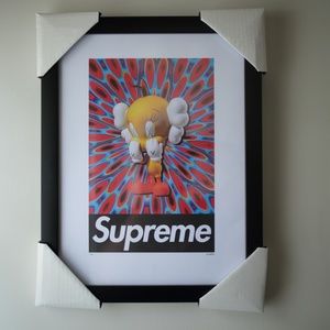 FAIRCHILD PARIS: KAWS X SUPREME "TWEETY BIRD"